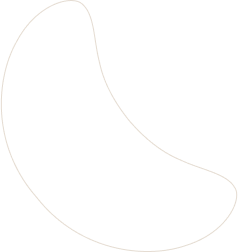 layout-slider1-02