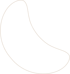 layout-slider3-01
